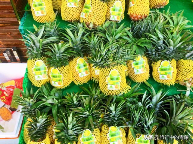 西双版纳最便宜的水果市场在哪里,西双版纳水果和昆明比哪个便宜