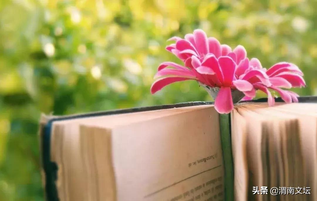 渭南文坛|吉源:母亲住院的日子