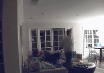 混蛋有什么意思,魂淡是什么梗