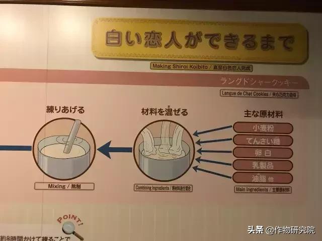 日式网红薄饼干,日本饼干伴手礼