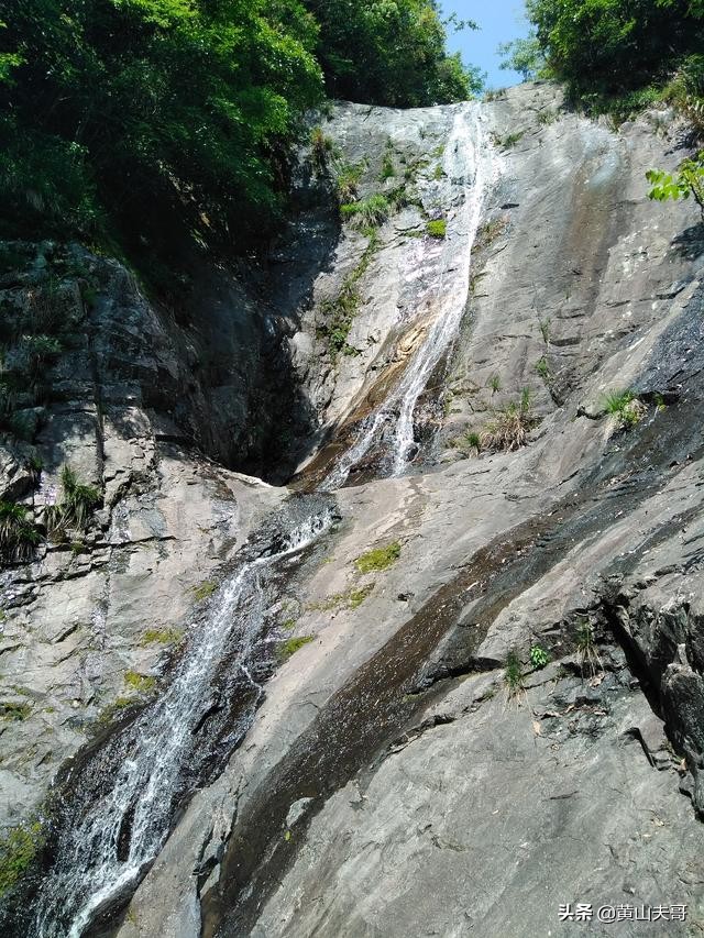 茶中翡翠，歙县滴水香——一颗蒙尘在北纬30°线上的黄山明珠