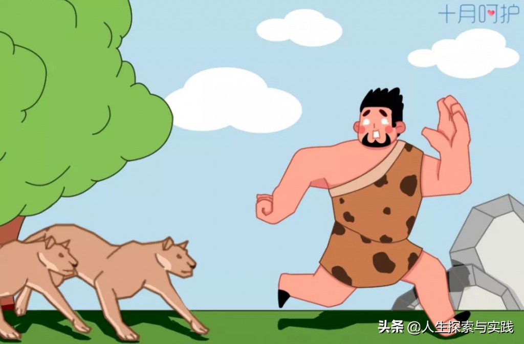 达尔文反进化论,足球早期演化史