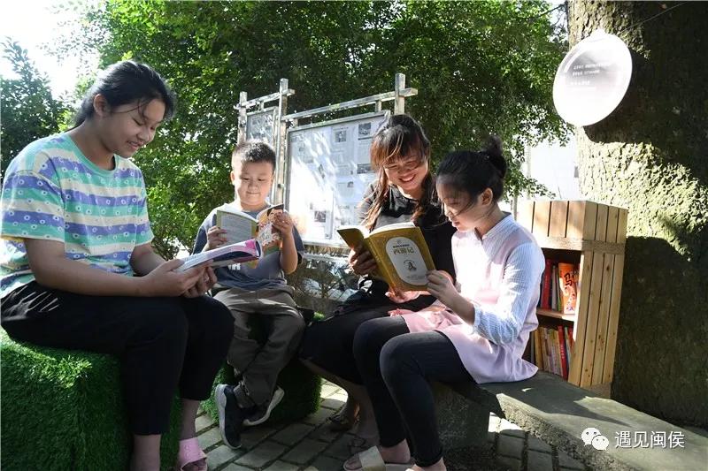 古树群下现“鸟巢书屋”，快来闽侯“悦”读一下