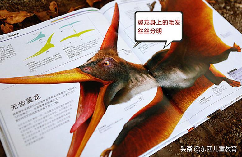 科学家发现喜欢恐龙的娃更聪明,为什么痴迷恐龙的孩子更聪明