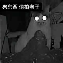 国庆网恋女友,国庆网恋奔现翻车