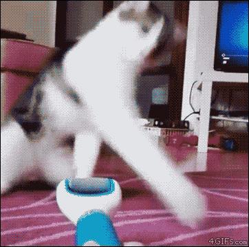 开心一刻gif搞笑动图,搞笑gif段子看起来能量满满