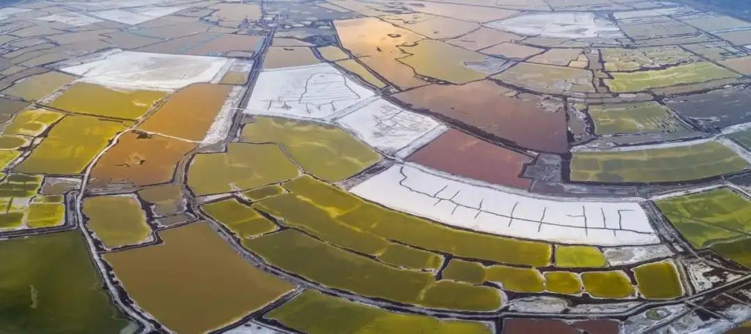 你们听说过死海吗,你听说过海洋中的强大生物吗