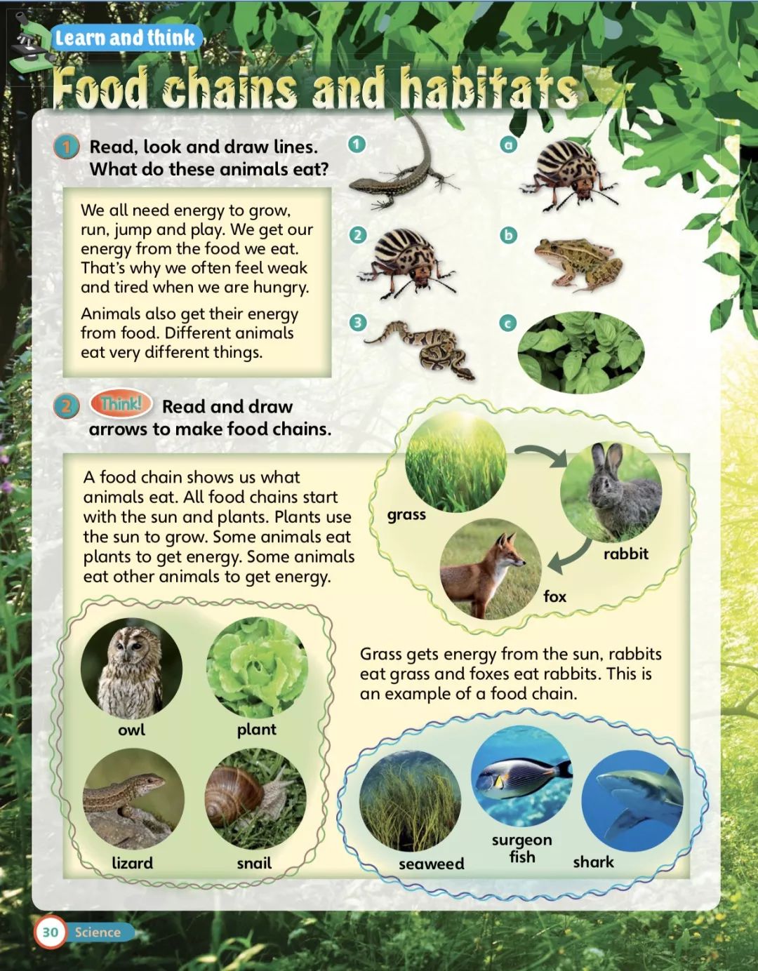 家长辅导孩子英语有什么好的教材,英语启蒙培训用什么教材