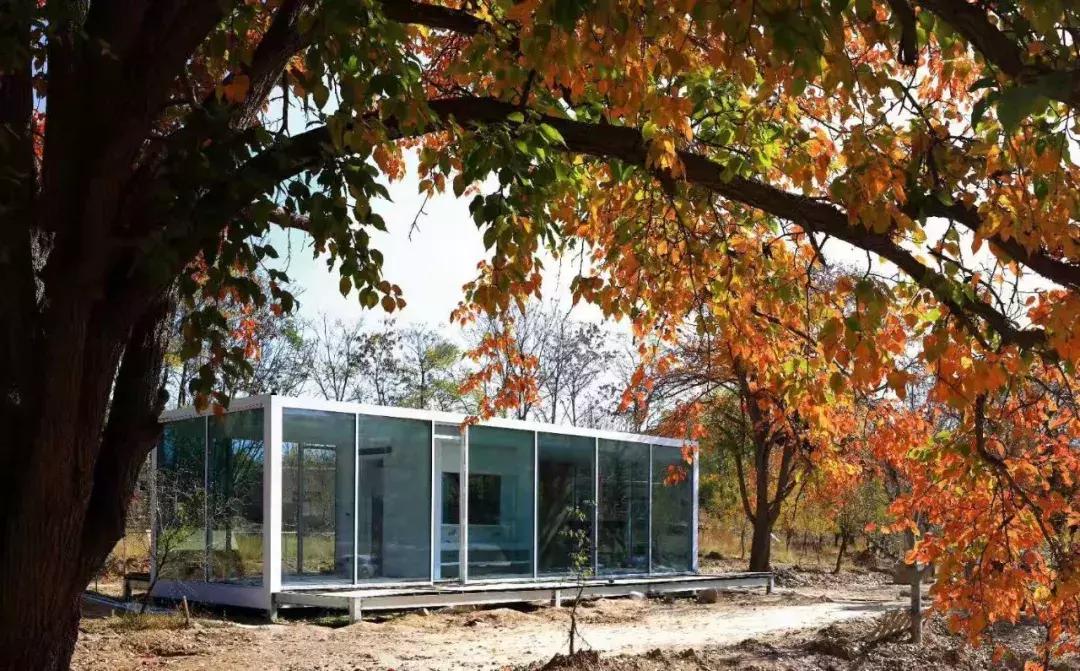 冬季去中卫黄河宿集民宿,中卫黄河宿集民宿多少钱