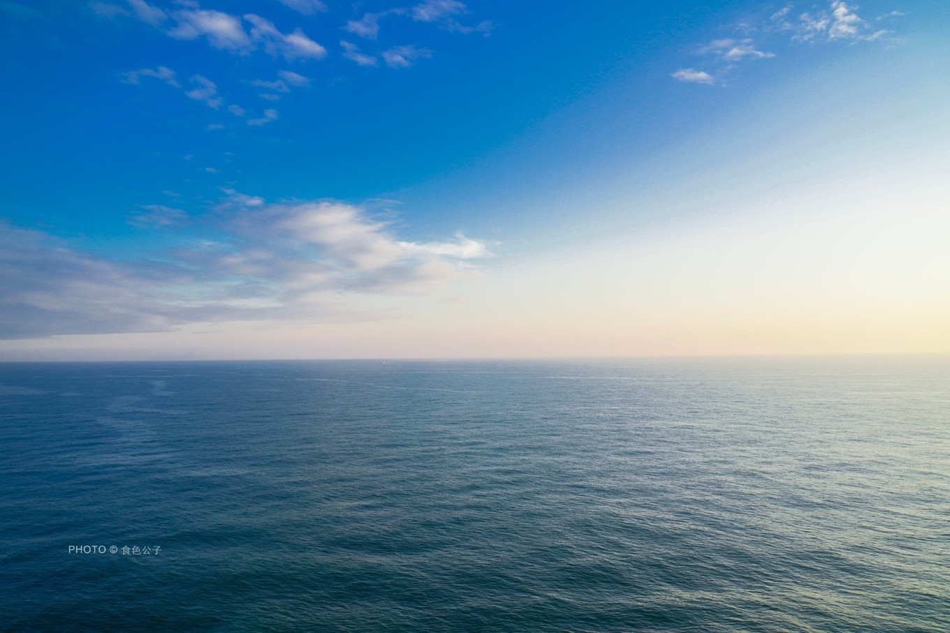 邮轮像海上养猪场,海上养猪场不负盛名