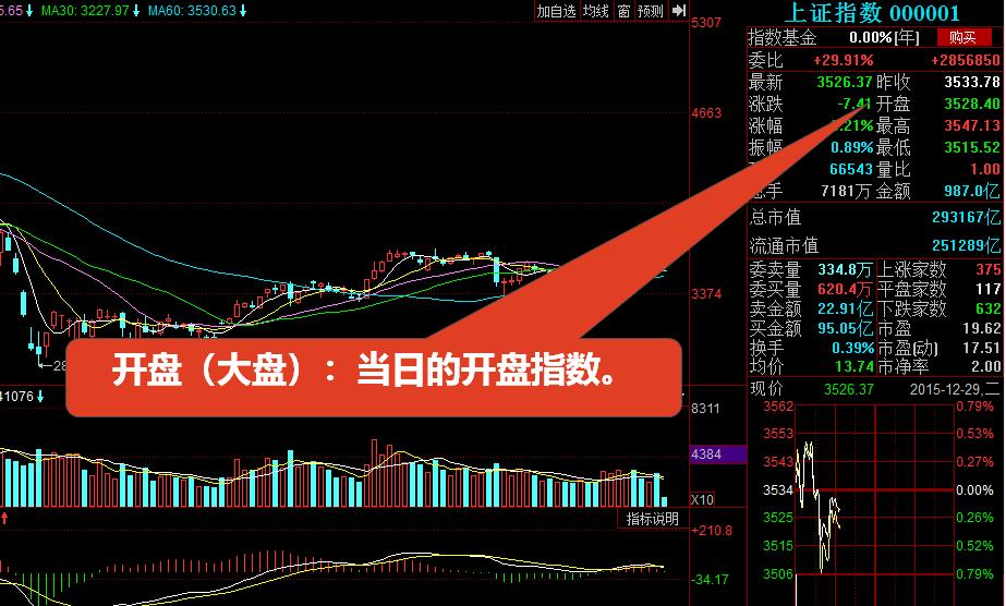 股票入门基础知识股市看盘技巧,股票入门基础知识看盘溢价率
