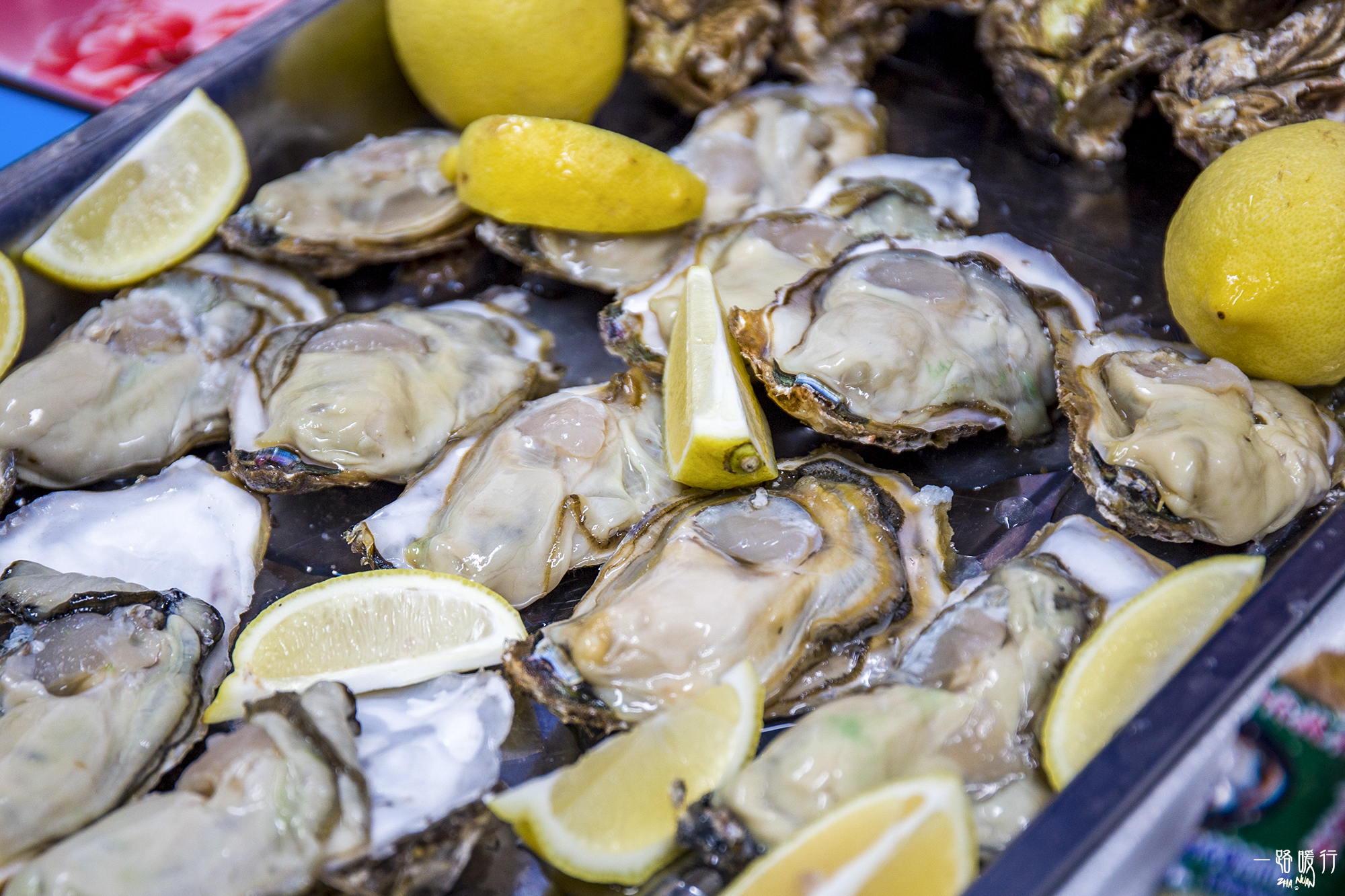 乳山海蛎子地理标志,乳山哪里的海蛎子最正宗