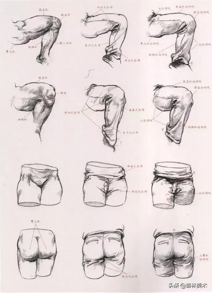 各种衣褶画法,衣褶不会上色