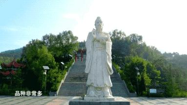 甘肃一座低调古镇,甘肃庆阳小城视频