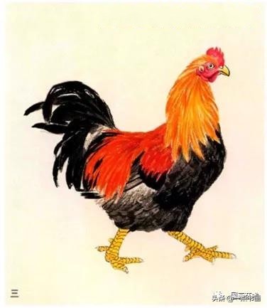 写意国画鸡画法技巧,小写意画鸡怎么画视频教学