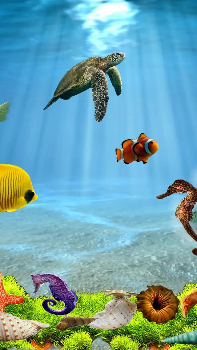 高清海底世界壁纸原生态动态,高清海底世界壁纸4k全屏无水印