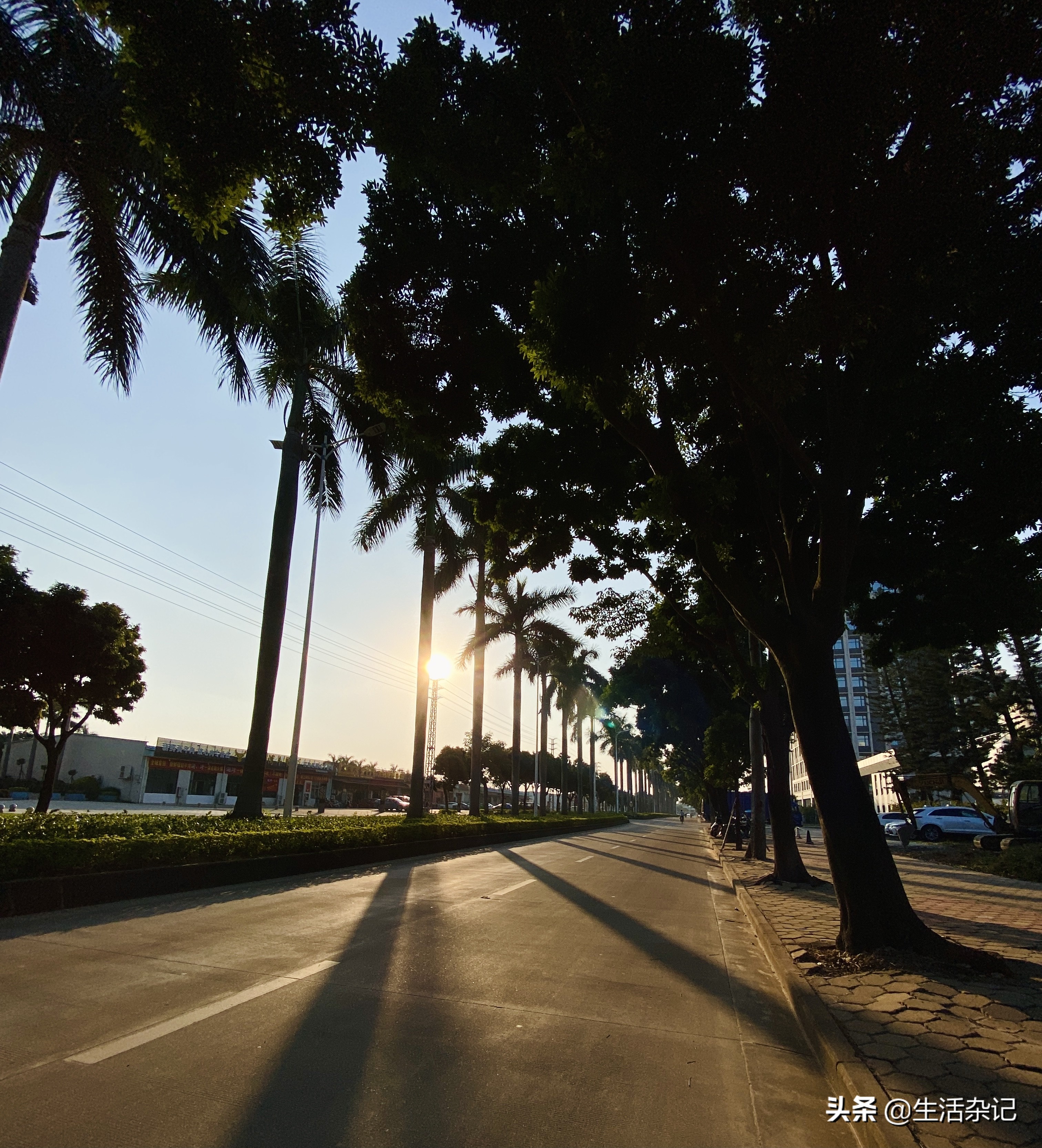 坦洲景色,坦洲街景随拍