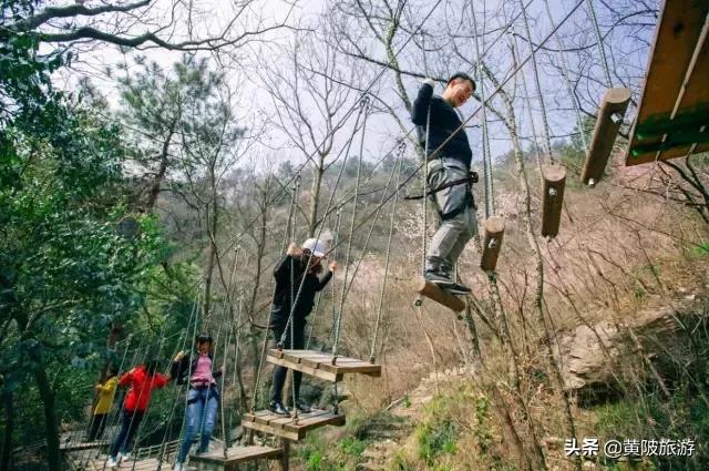 清凉寨樱花最佳赏花时间,清凉寨中华樱花