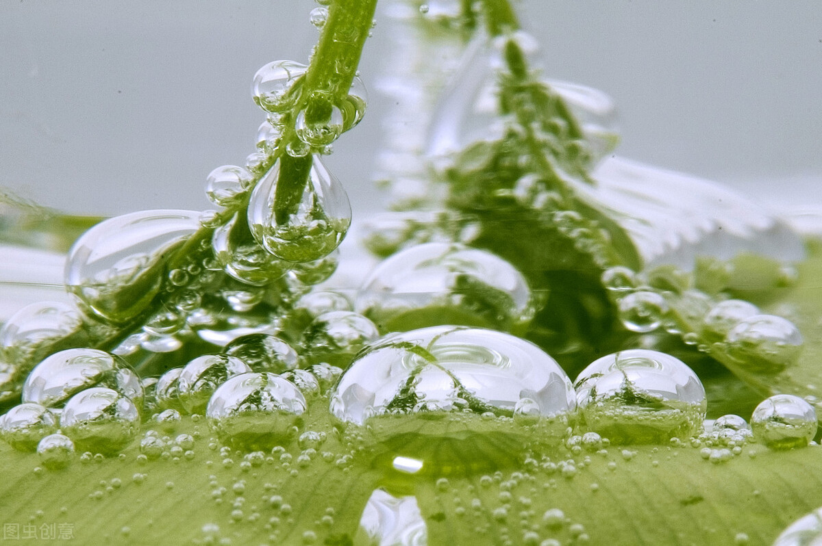 手把手教你玩转精华液,精华液的正确使用方法推荐