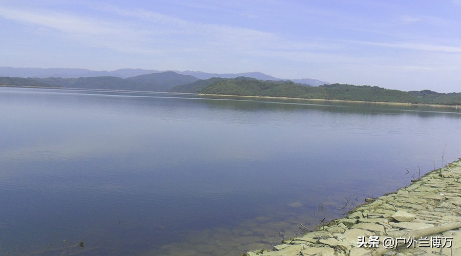 喜欢钓青鱼的钓友,红薯钓青鱼的秘诀