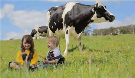 澳洲奶粉近期涨价了吗,2022年澳洲的奶制品是否涨价