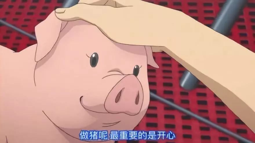 圈子不同会让人瞧不起,圈子不同相处起来也尴尬