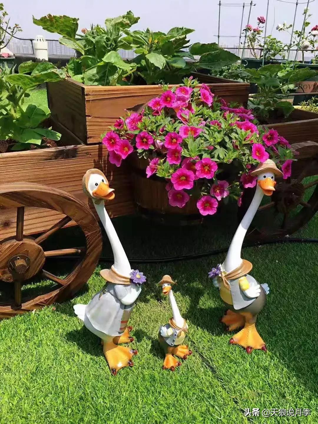 露台打造花海,她用10年改造庭院