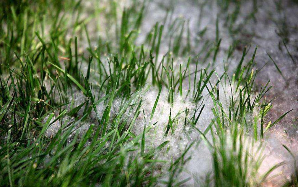 如何维护和管理体育场地,冬季体育训练有哪些注意事项