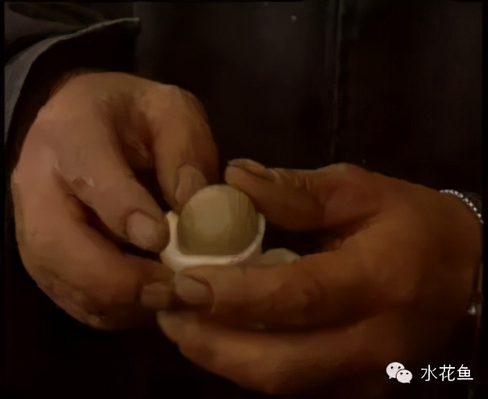 土塘水花鱼苗培育成活率,水花鱼苗养殖投喂什么饲料