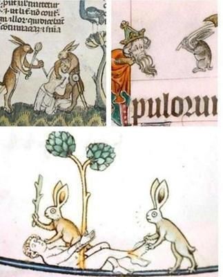 深入谈谈“贝尔女巫事件”，它戳到了早期美国人最深的恐惧