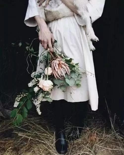 买花的套路和策略,买花的三个陷阱