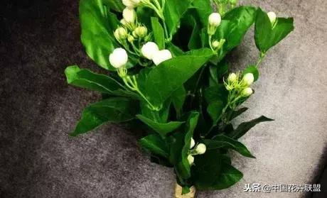 100种鲜花的花语樱花,100种不同花的花语