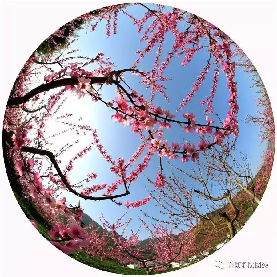 黔南4a级景区学校,都匀公办学校建在哪里