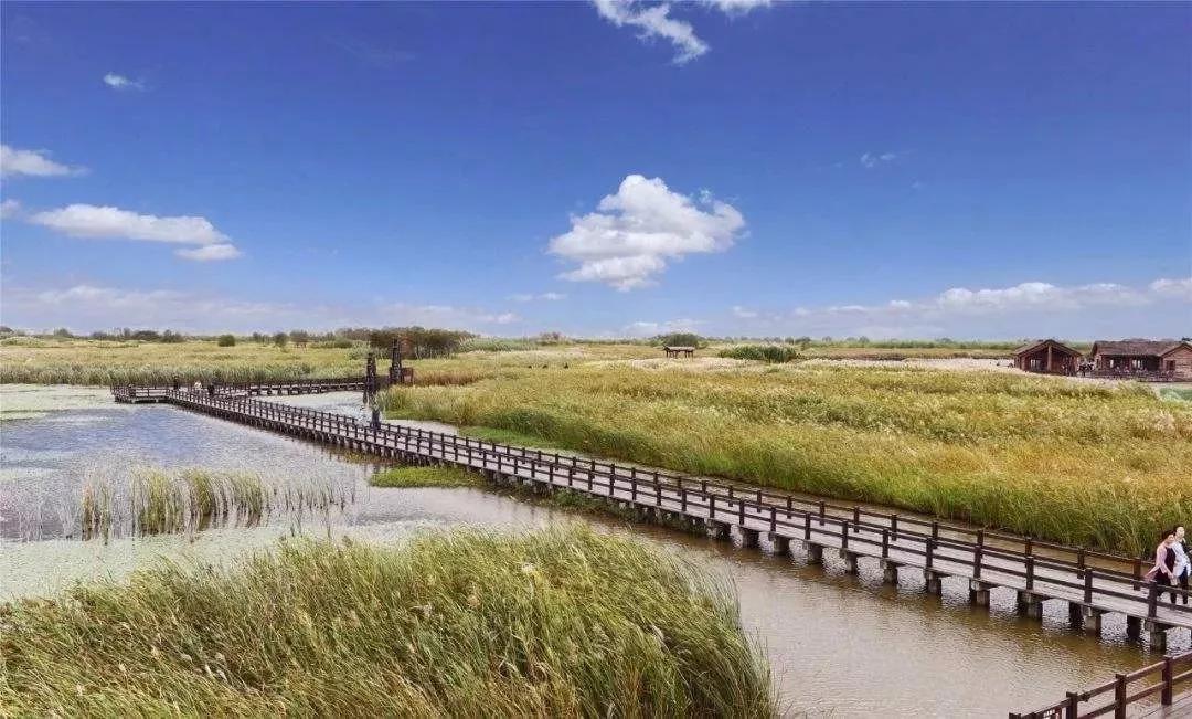 杭州湾人口增加,杭州湾新区吸引周边乡镇人口