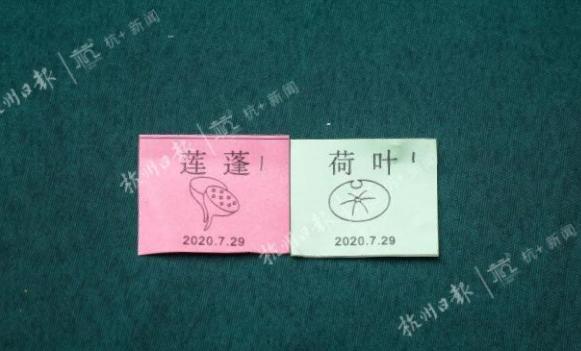 凌晨5点多的西湖,凌晨三点西湖排长队