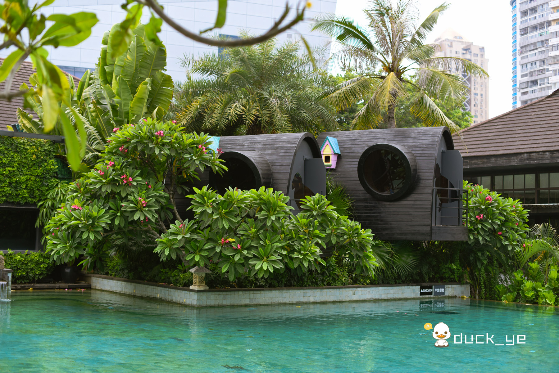 厦门这家新派港式茶餐厅不简单,厦门这家餐厅一碗面煮了八年