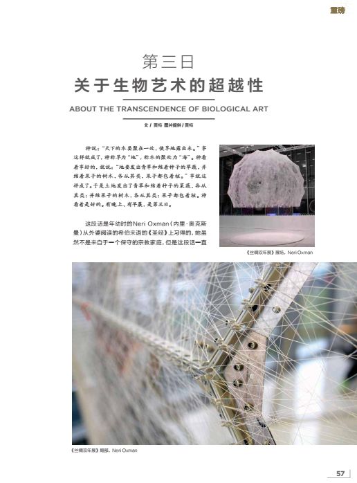 艺术视觉杂志推荐,艺术审美杂志推荐