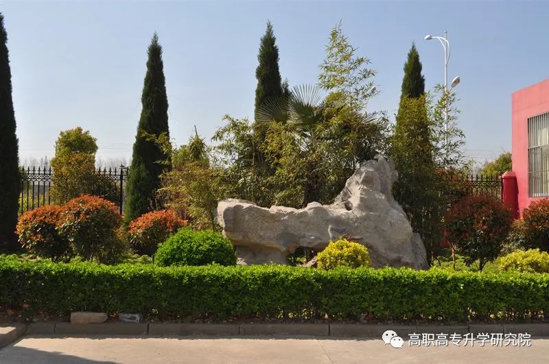 永城职业学院单招真题,永城职业学院五年一贯制录取