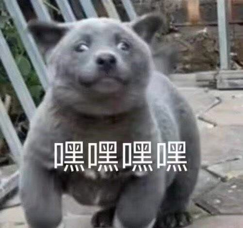 国货良心隔离霜,我命油我不油天