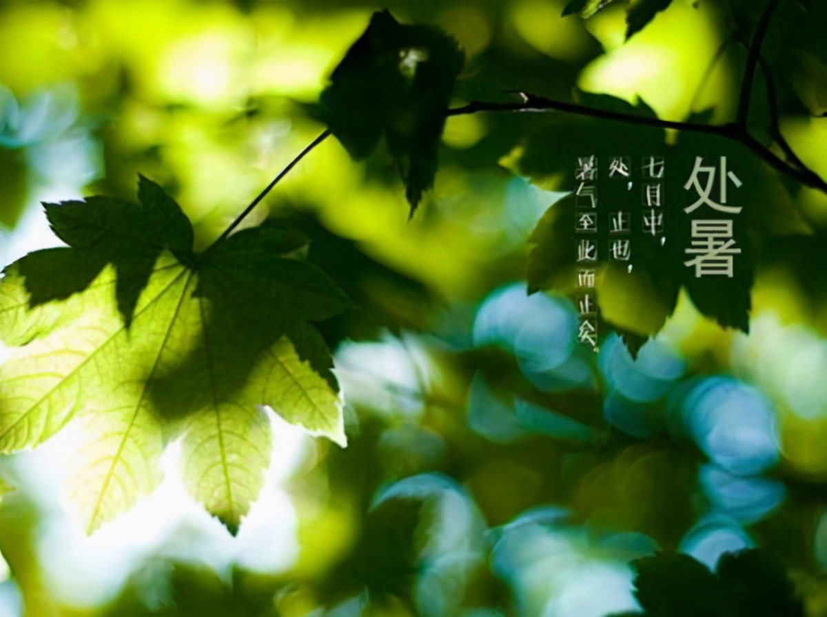 处暑是什么意思处暑的来历和风俗,处暑节气的含义是什么处暑吃啥好