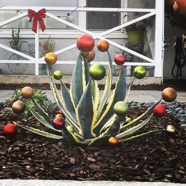 意想不到的装修设计,圣诞树设计