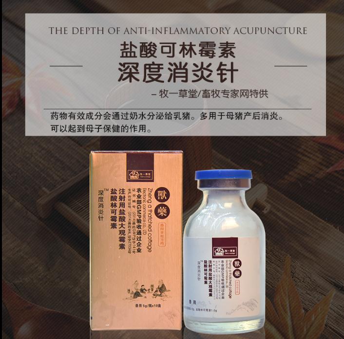 猪精神不振喜卧不吃食该用什么药,猪体温正常精神沉郁不吃食怎么办