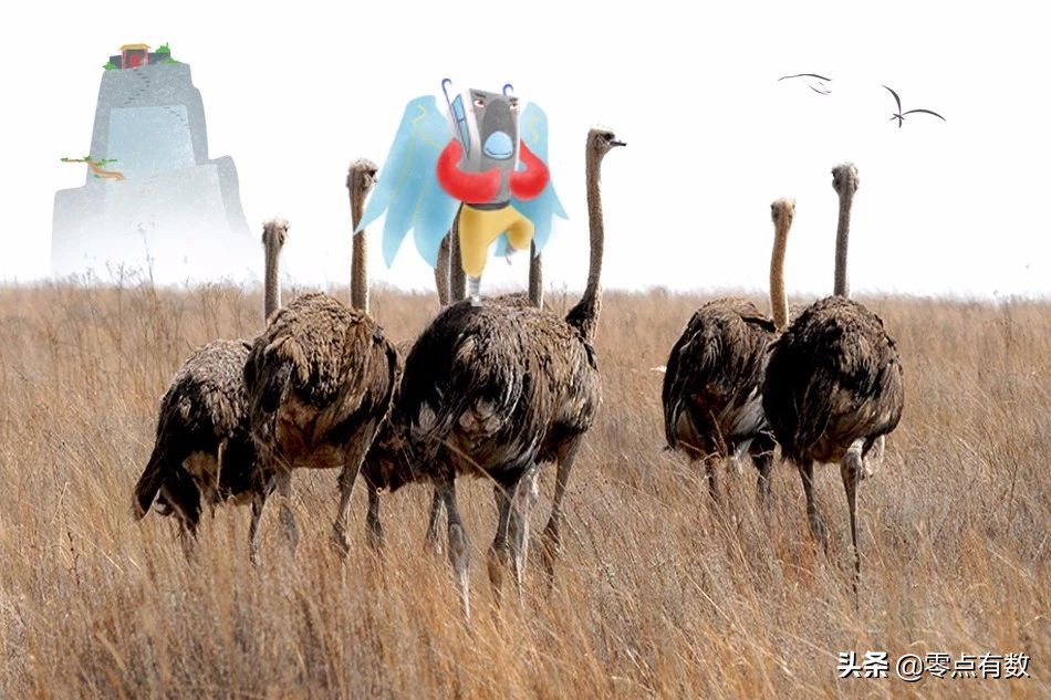 什么是郑州速度？上天入地的飞车兽了解一下！丨百城神兽图鉴