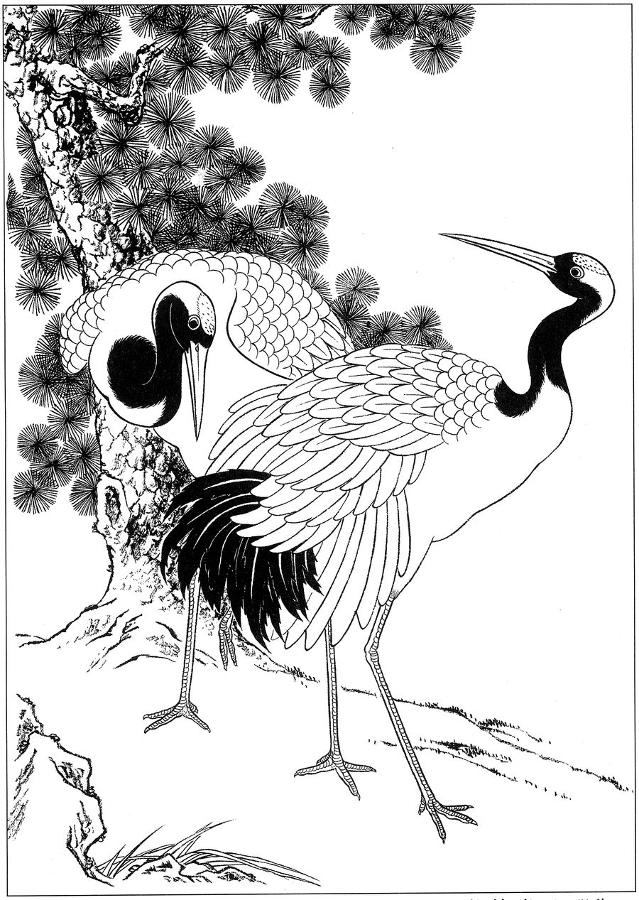 仙鹤桃子工笔白描稿,工笔画仙鹤高清图上色步骤图