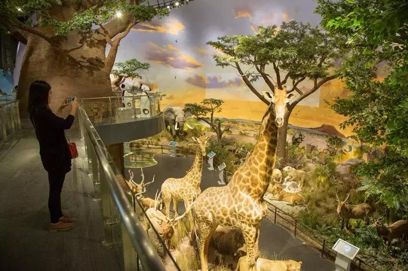 现在去青岛好玩吗,最近都去打卡的博物馆