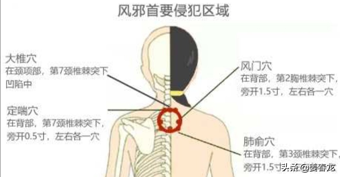 P13肺俞穴主治肺的所有疾病如咳嗽气喘，咳血，喉痹，肺痿胸满