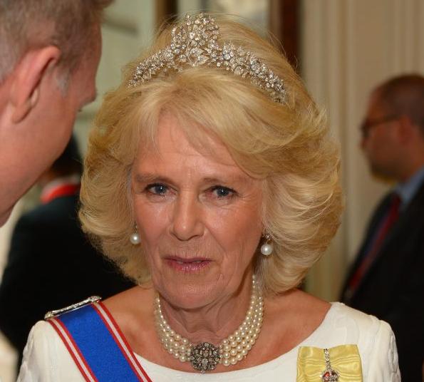 戴安娜输给卡米拉了吗,戴安娜和卡米拉都戴了一顶小王冠