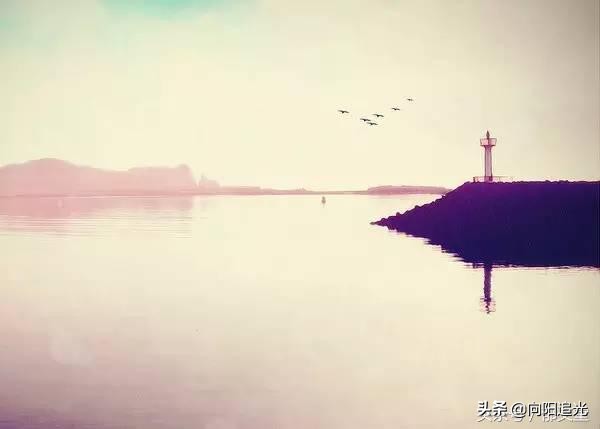 知世故而不世故历世故而留天真,知世故而不世故