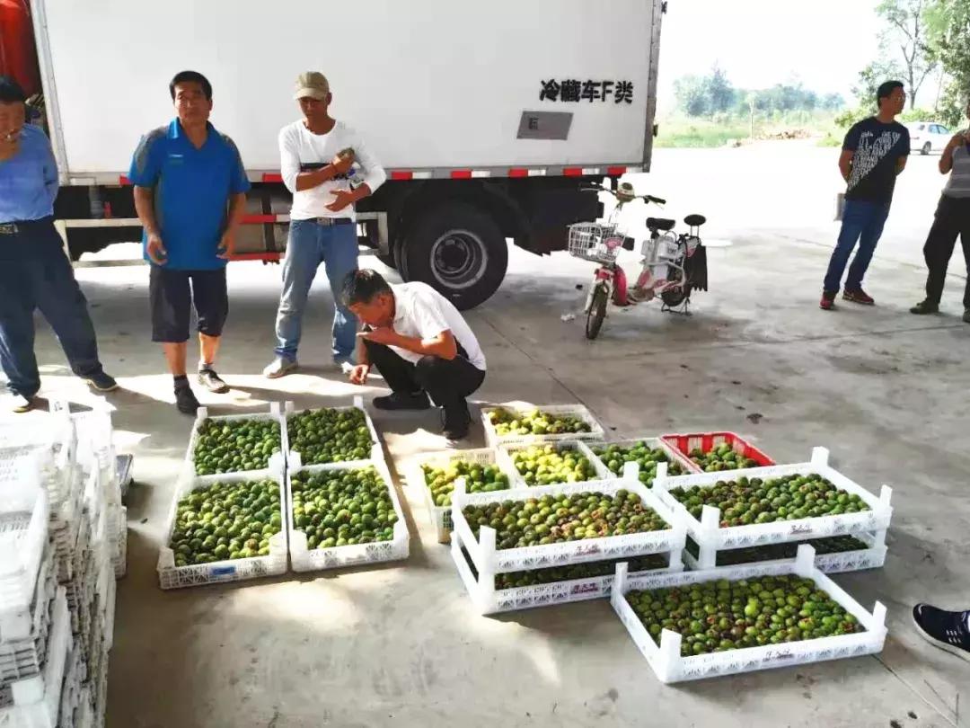 破解销售十大难题,破解农产品滞销问题