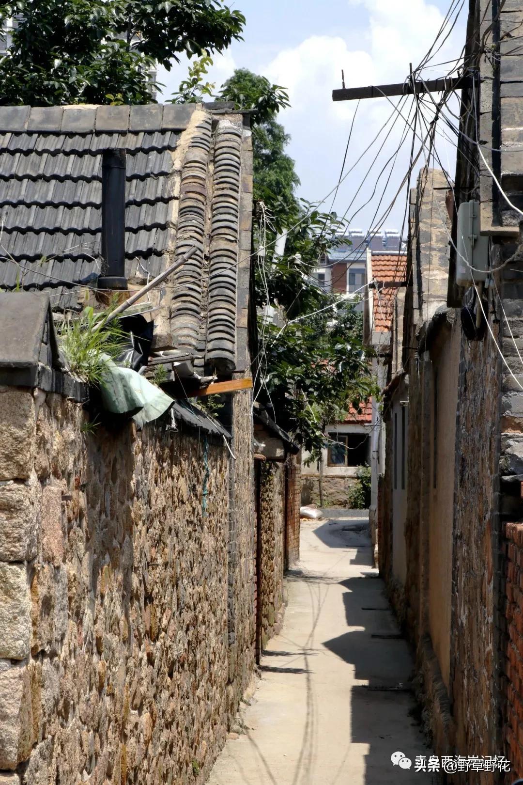 青岛西海岸新区灵山岛简介,青岛西海岸新区历史文化名城